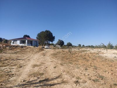 Arsa-Bağ & Bahçe