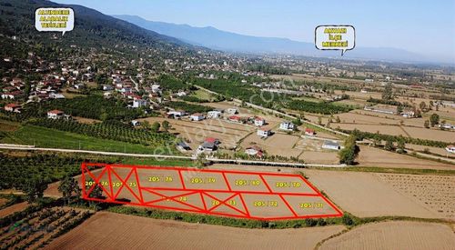 Arsa-Konut İmarlı