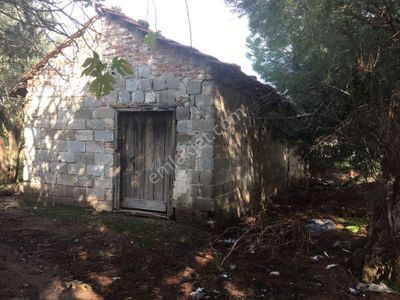 Arsa-Konut İmarlı