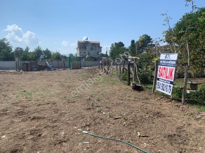 Arsa-Konut İmarlı