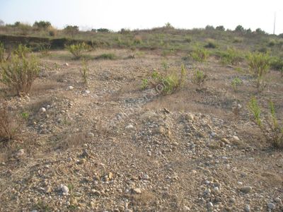 Arsa-Konut İmarlı