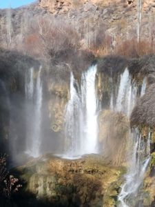 Arsa-Bağ & Bahçe