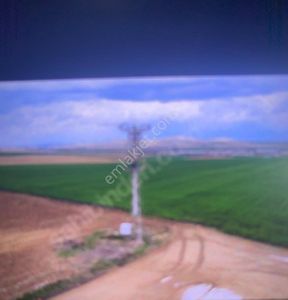 Arsa-Tarla