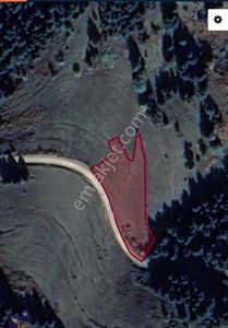 Arsa-Tarla