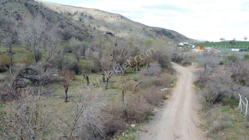 Arsa-Bağ & Bahçe