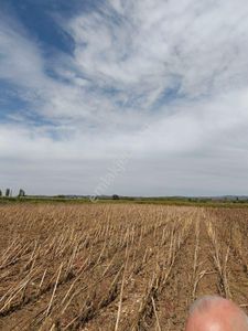 Arsa-Tarla