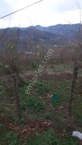Arsa-Konut İmarlı