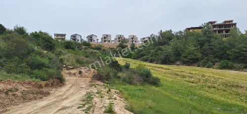 Arsa-Konut İmarlı