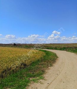 Arsa-Tarla
