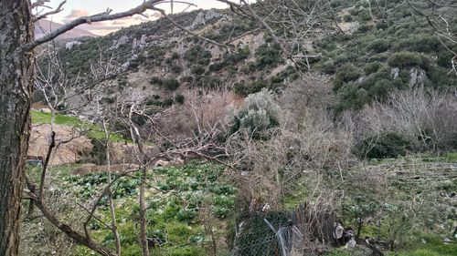 Arsa-Konut İmarlı