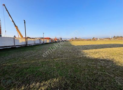 Arsa-Depo, Antrepo İzinli
