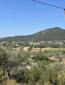 Arsa-Tarla