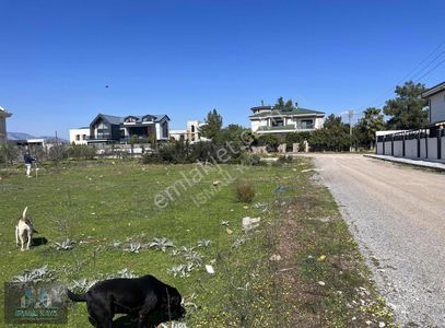 Arsa-Villa İmarlı