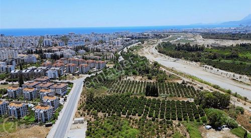 Arsa-Konut İmarlı