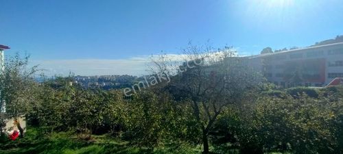 Arsa-Konut+Ticaret Alanı