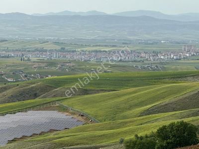 Arsa-Bağ & Bahçe