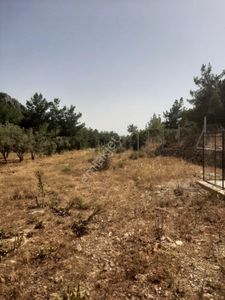 Arsa-Çiftlik