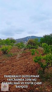 Arsa-Bağ & Bahçe