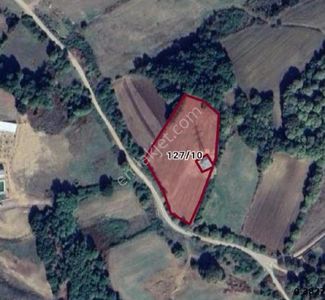 Arsa-Tarla
