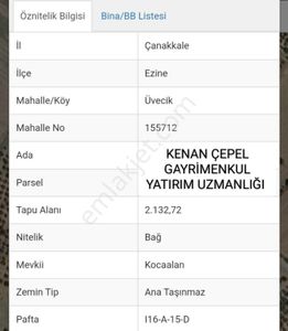 Arsa-Zeytinlik