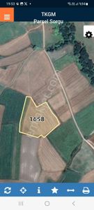 Arsa-Tarla