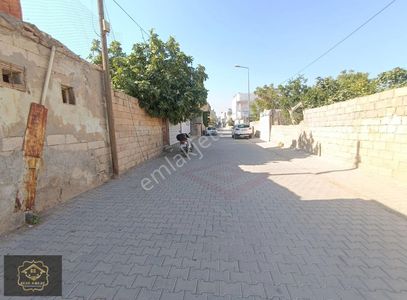 İşyeri-Dükkan & Mağaza