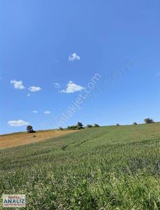 Arsa-Tarla