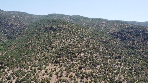 Arsa-Tarla