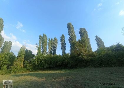 Arsa-Bağ & Bahçe