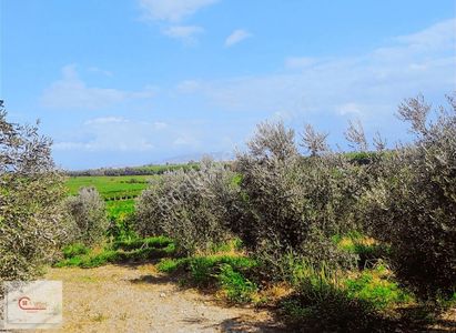 Arsa-Tarla