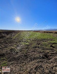 Arsa-Tarla