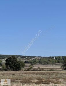 Arsa-Tarla