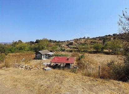 Arsa-Bağ & Bahçe