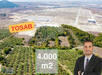 Arsa-Bağ & Bahçe