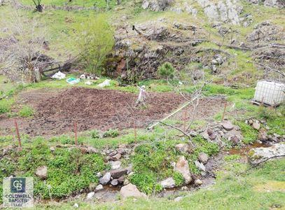 Arsa-Konut İmarlı
