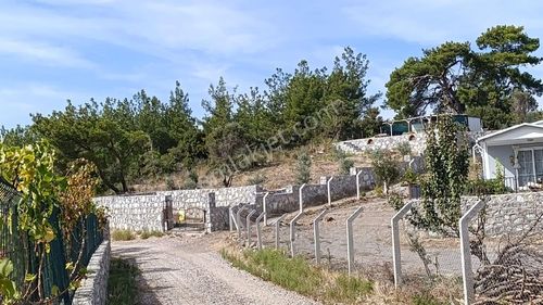 Arsa-Bağ & Bahçe