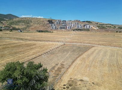 Arsa-Tarla