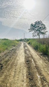 Arsa-Konut İmarlı