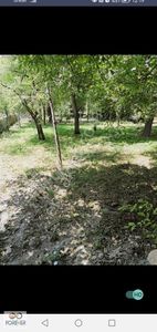 Arsa-Bağ & Bahçe