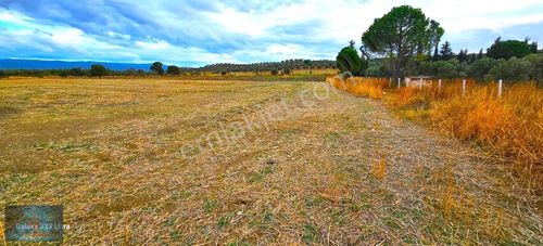 Arsa-Tarla
