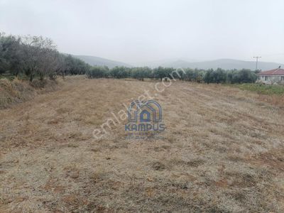 Arsa-Konut İmarlı