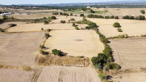 Arsa-Tarla