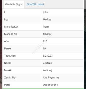 Arsa-Zeytinlik