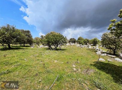 Arsa-Tarla