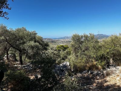 Arsa-Tarla