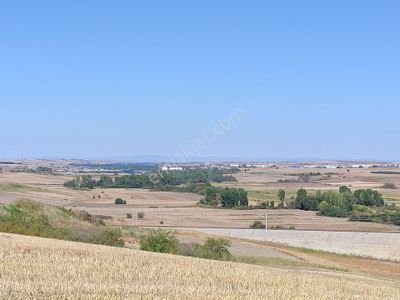 Arsa-Tarla