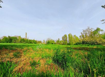 Arsa-Konut İmarlı