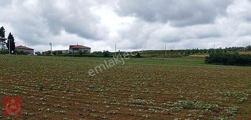 Arsa-Tarla