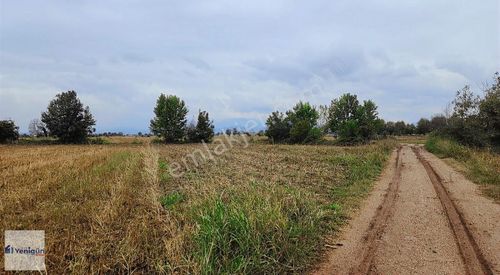 Arsa-Tarla
