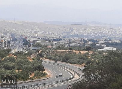 Arsa-Zeytinlik